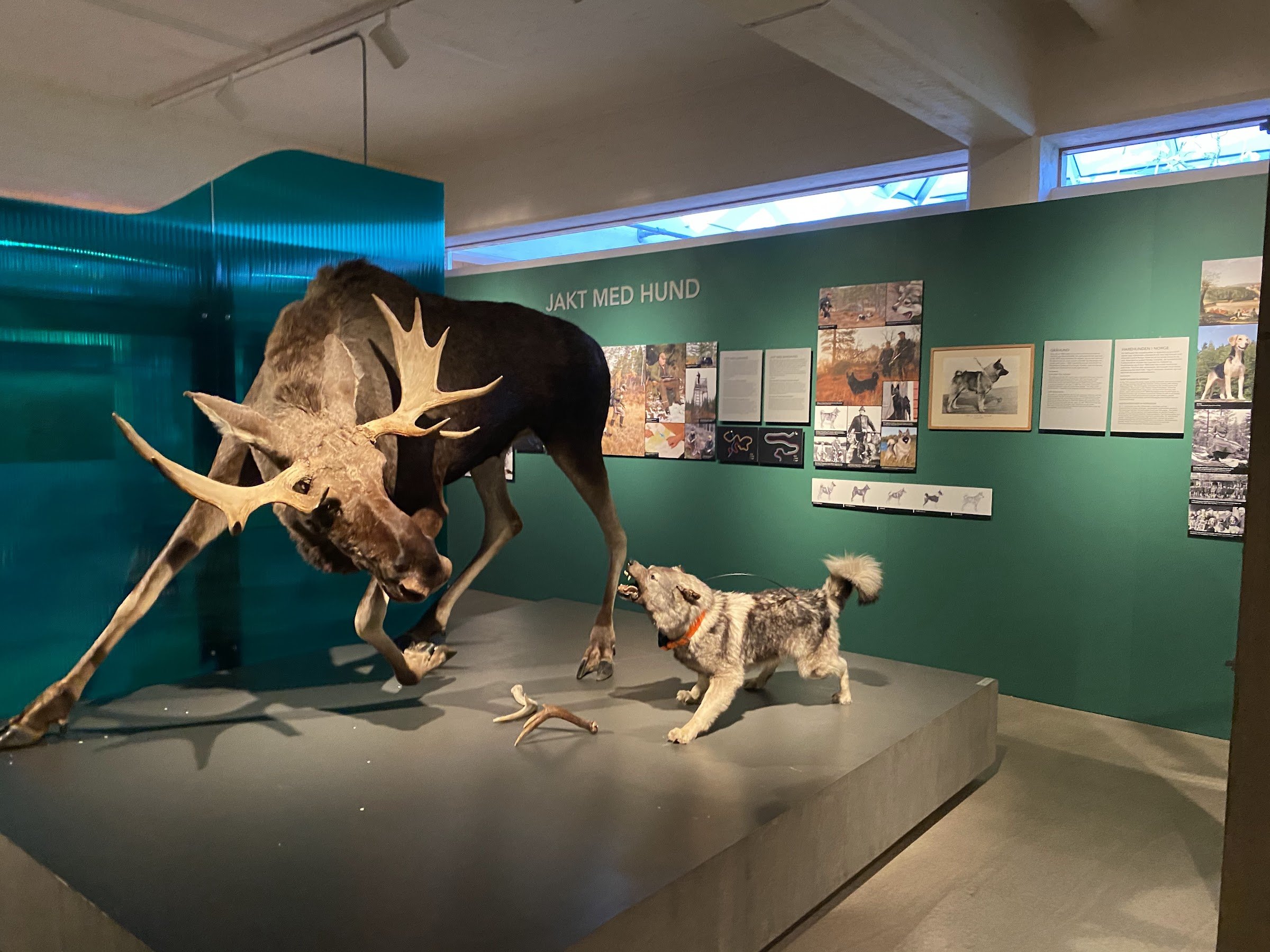 Norwegian Forestry Museum (Skogmuseet)
